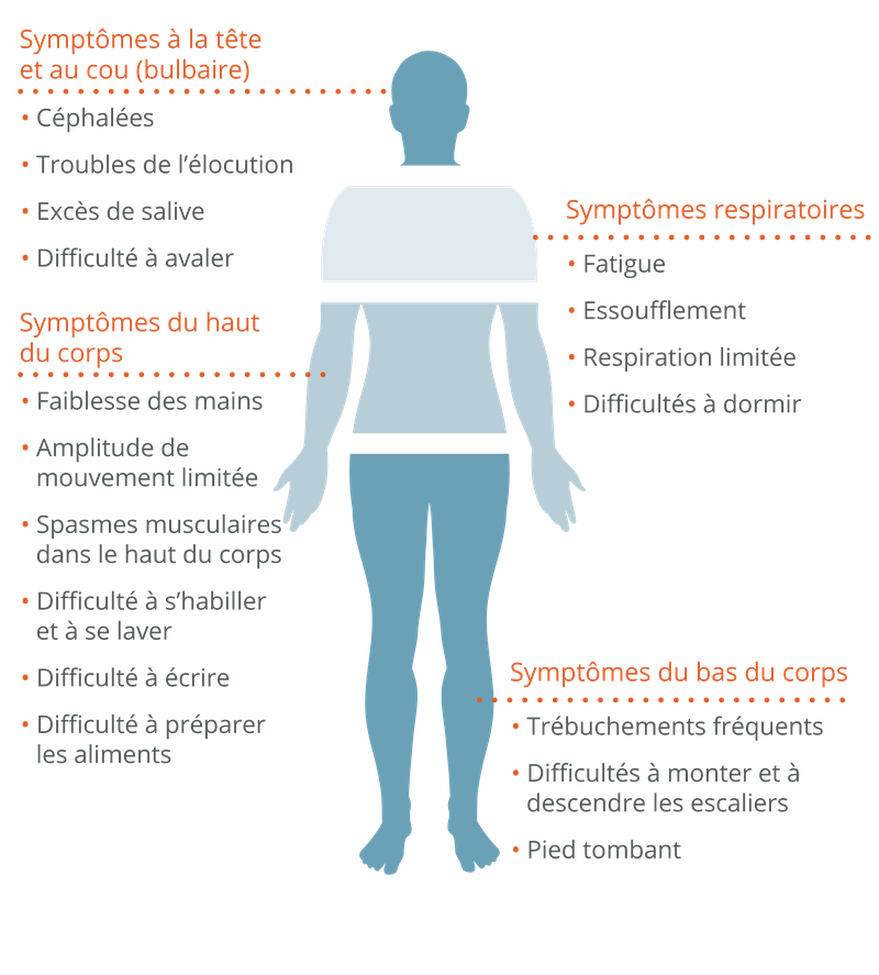 Male Figure 2_FR (Updated)