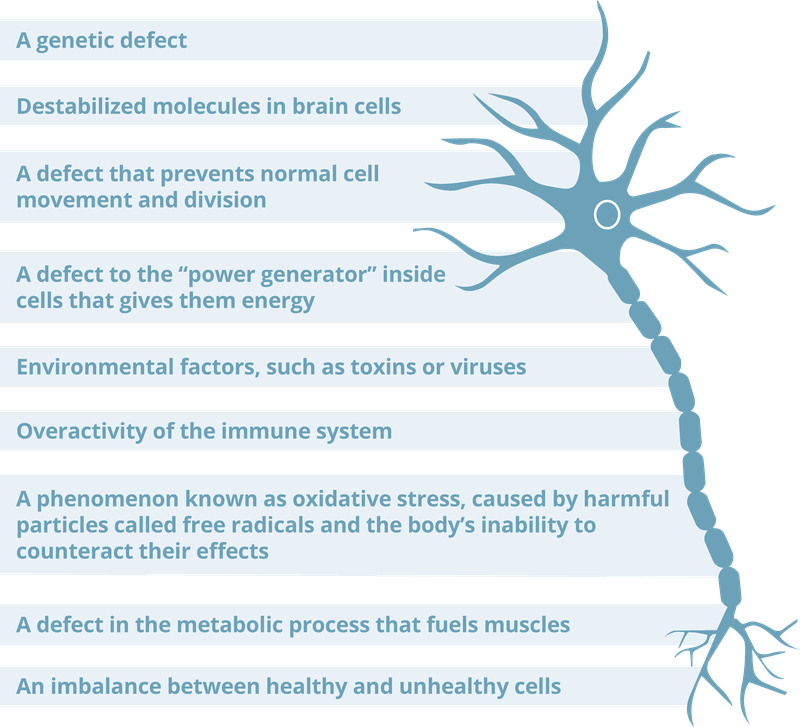 Neuron EN